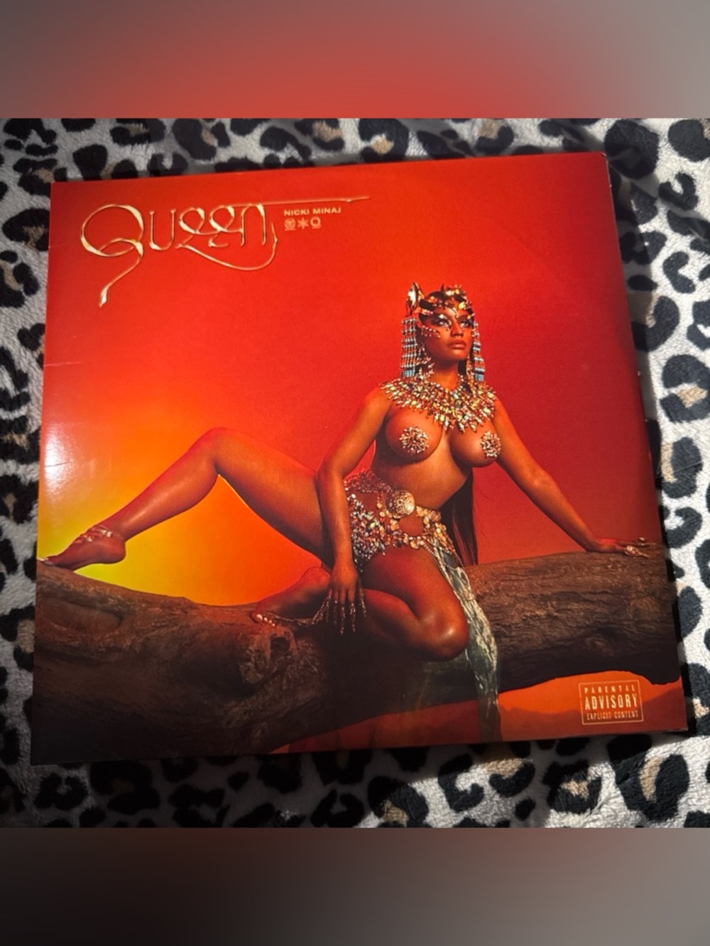 Nicki Minaj Vinyl